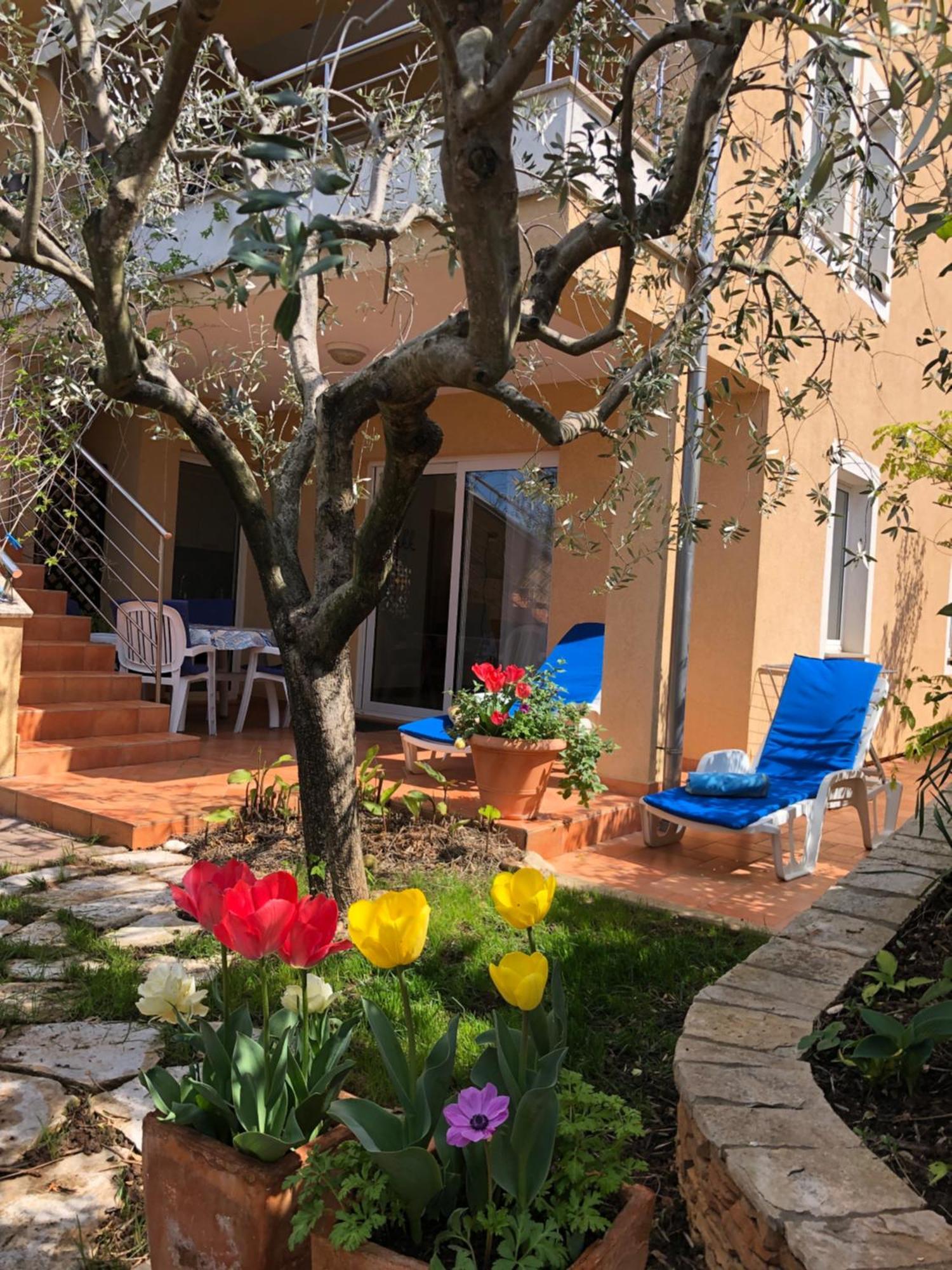 Villa Alexandra 4 프예스차나 우발라 외부 사진